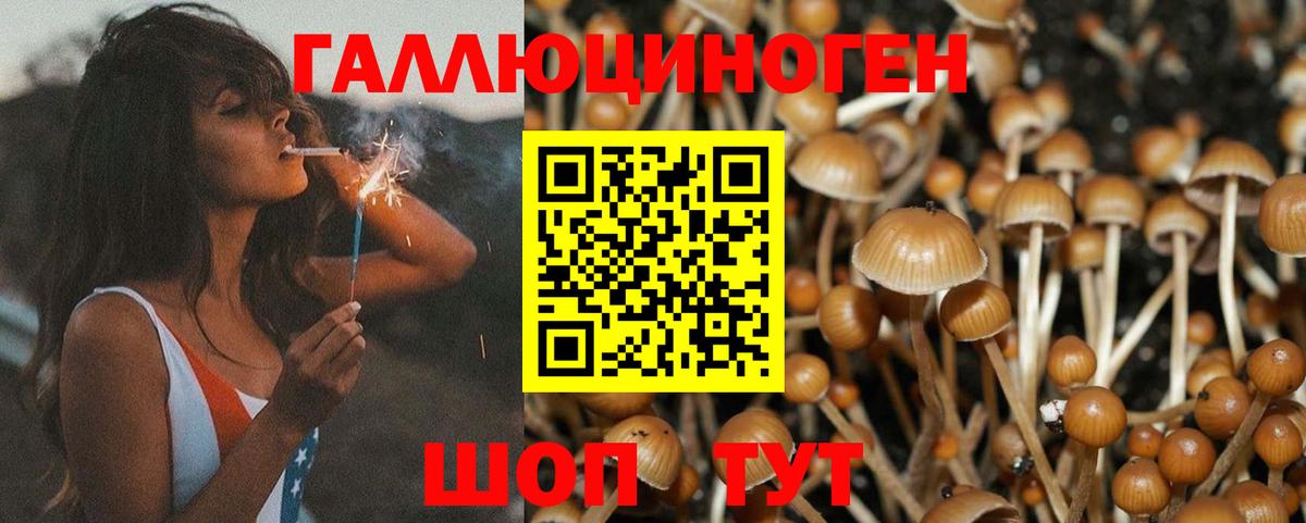 Псилоцибиновые грибы мицелий Прокопьевск