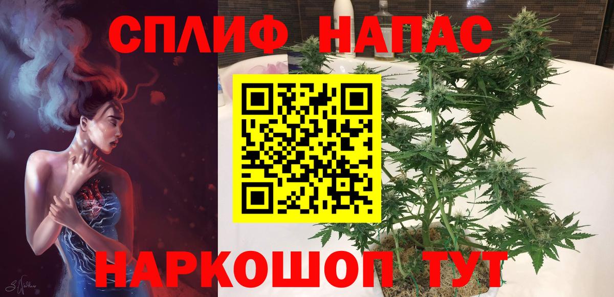 Конопля AK-47  Каннабис план  Прокопьевск  Конопля планчик  Вход с VPN  МАРИХУАНА White Widow 